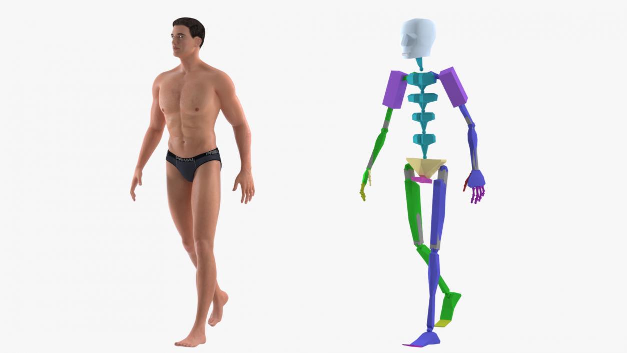 Athletic Man Rigged 3D model