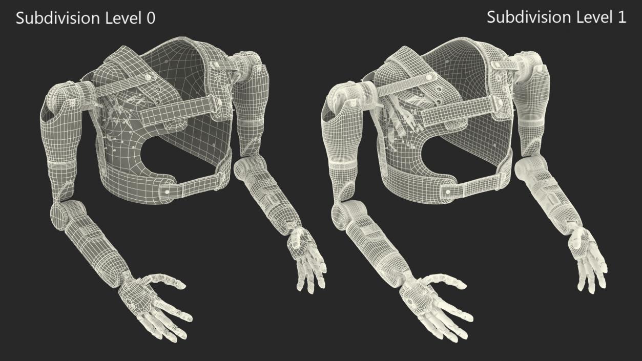 3D model Modular Prosthetic Limbs Fur Rigged