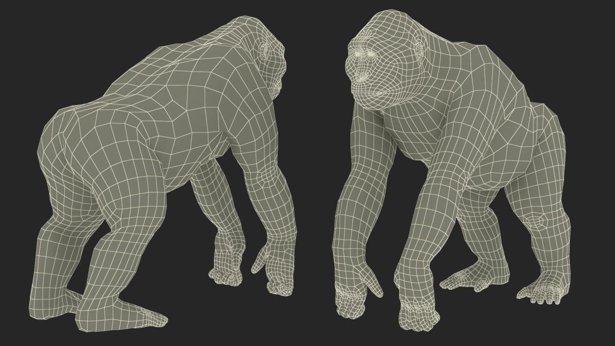 3D model Gigantopithecus Stands on Four Limbs Fur