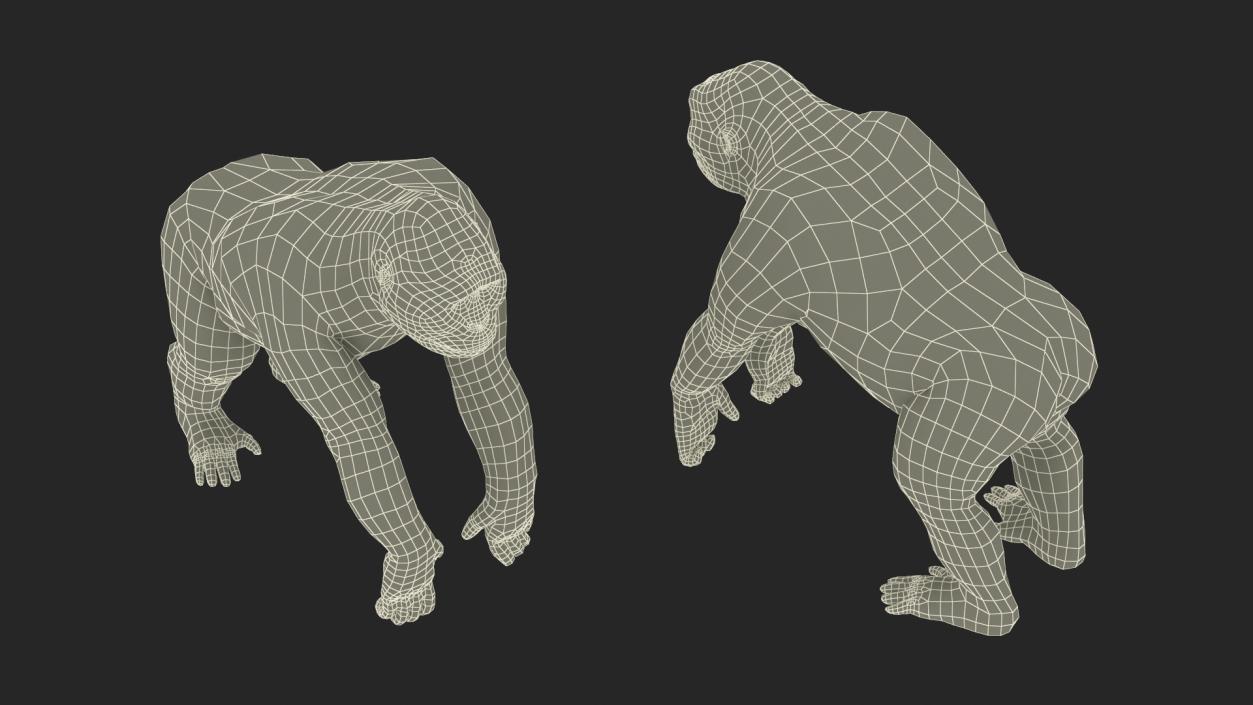 3D model Gigantopithecus Stands on Four Limbs Fur