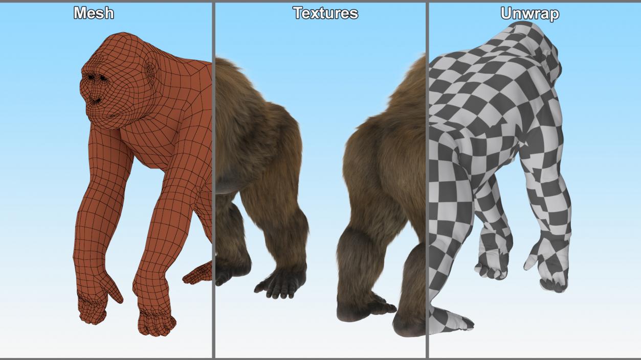 3D model Gigantopithecus Stands on Four Limbs Fur