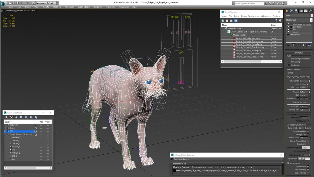 3D Cream Sphynx Cat Rigged model