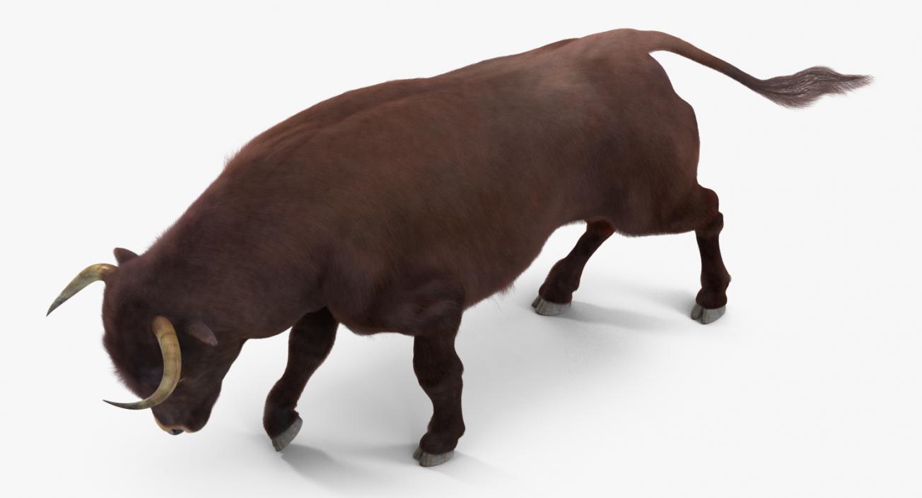 3D model Bull Rigged with Fur