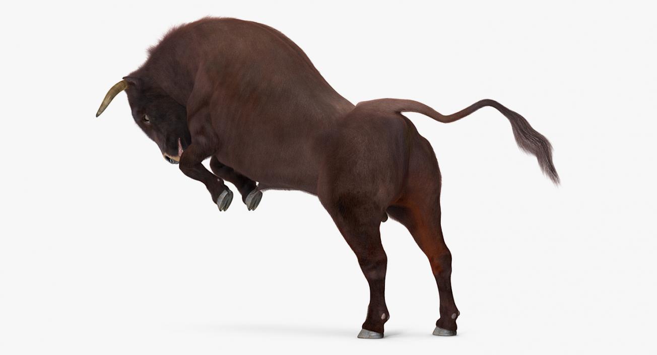 3D model Bull Rigged with Fur