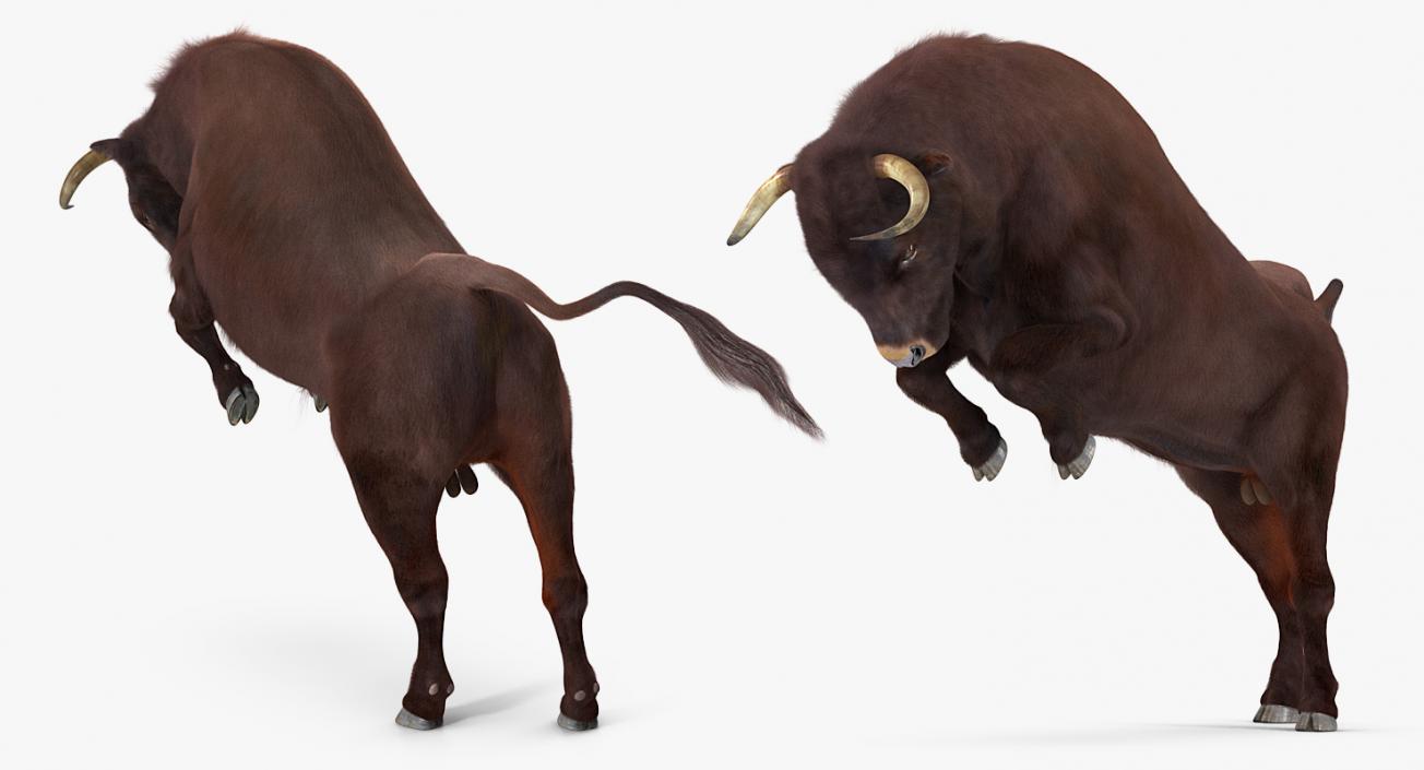 3D model Bull Rigged with Fur