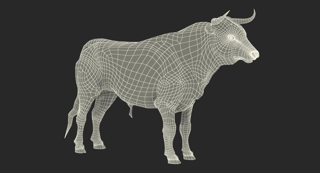 3D model Bull Rigged with Fur