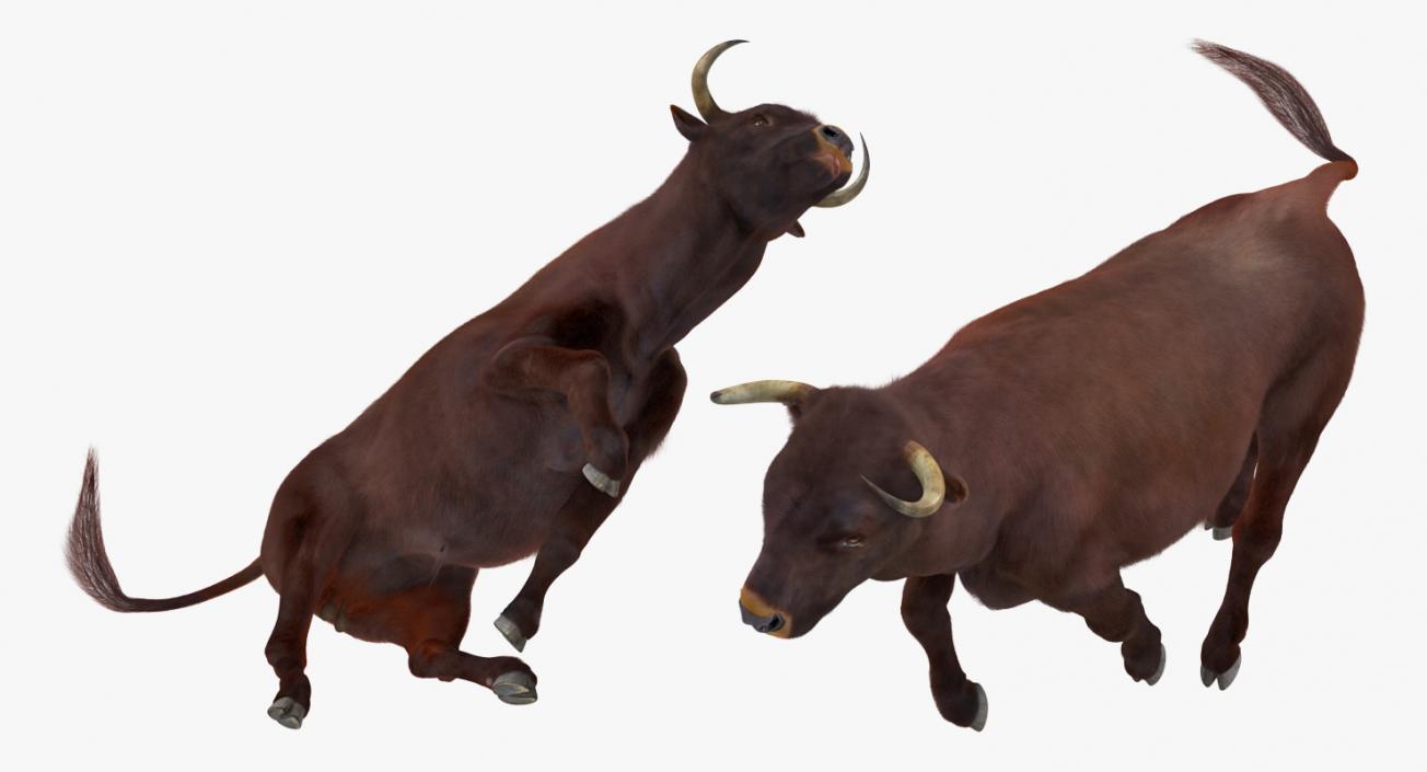 3D model Bull Rigged with Fur