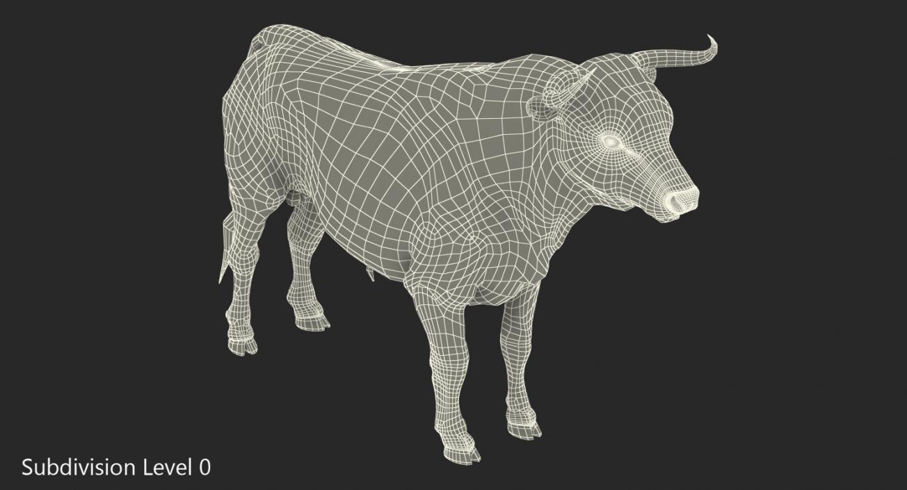 3D model Bull Rigged with Fur