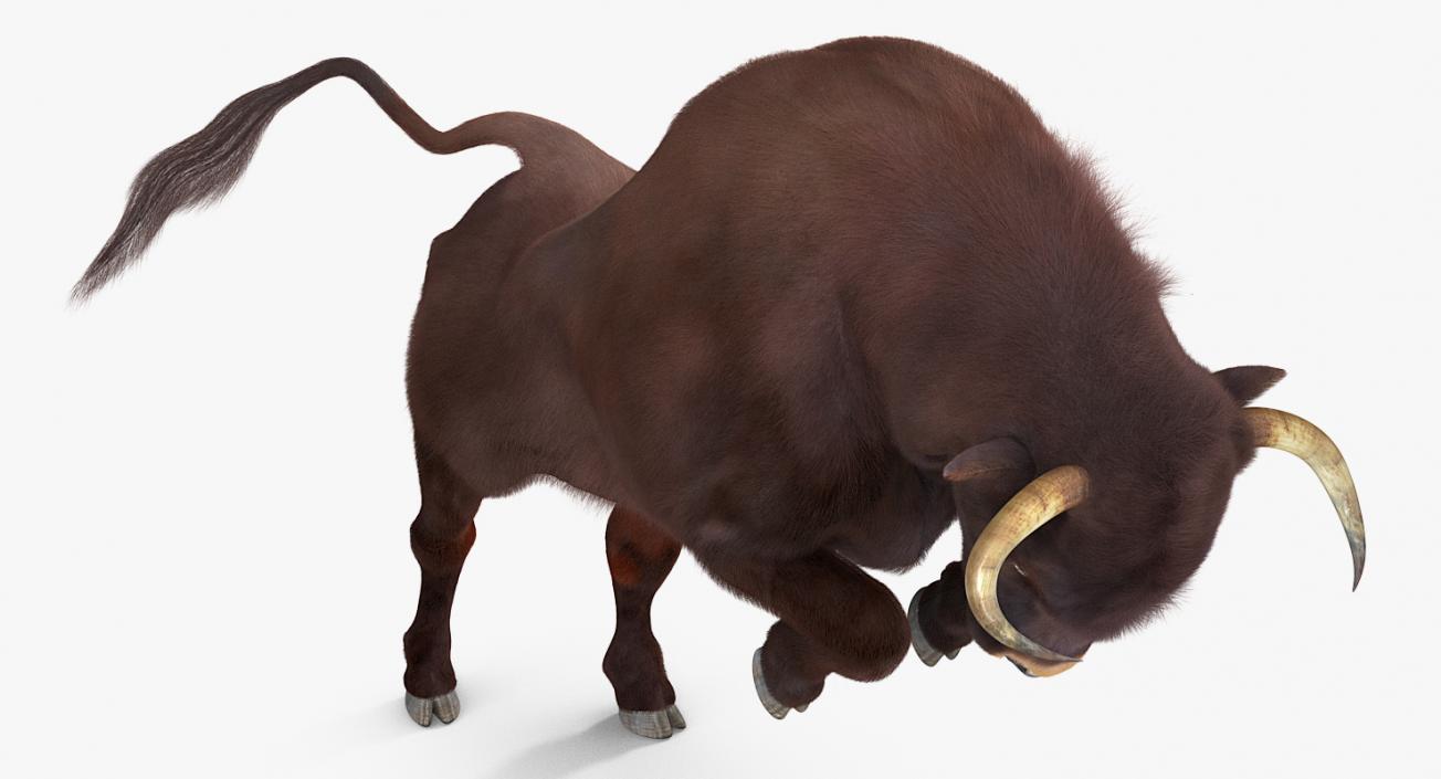 3D model Bull Rigged with Fur