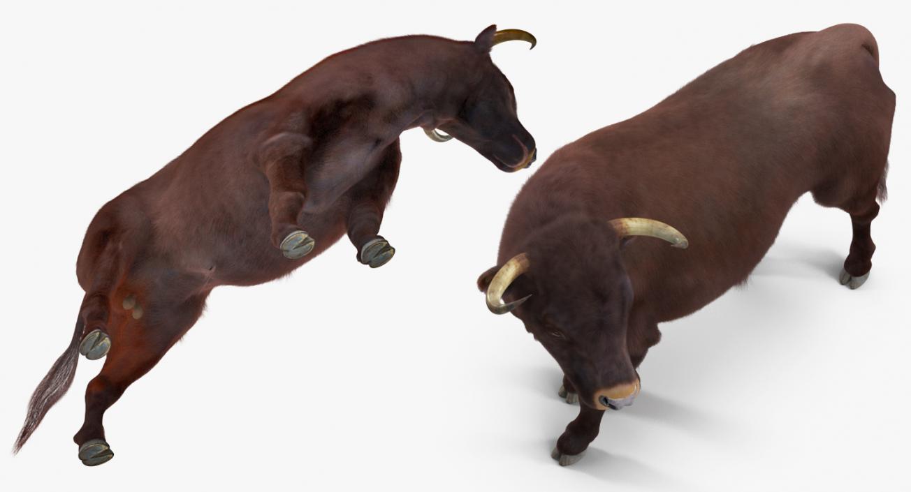 3D model Bull Rigged with Fur