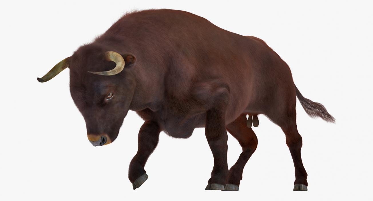 3D model Bull Rigged with Fur