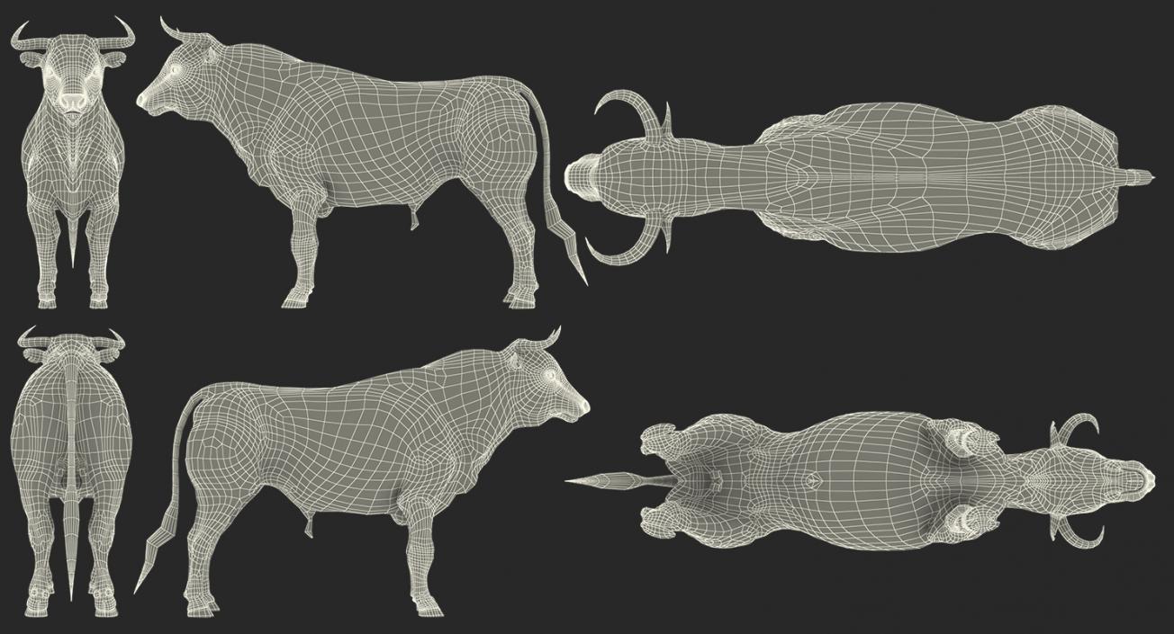 3D model Bull Rigged with Fur