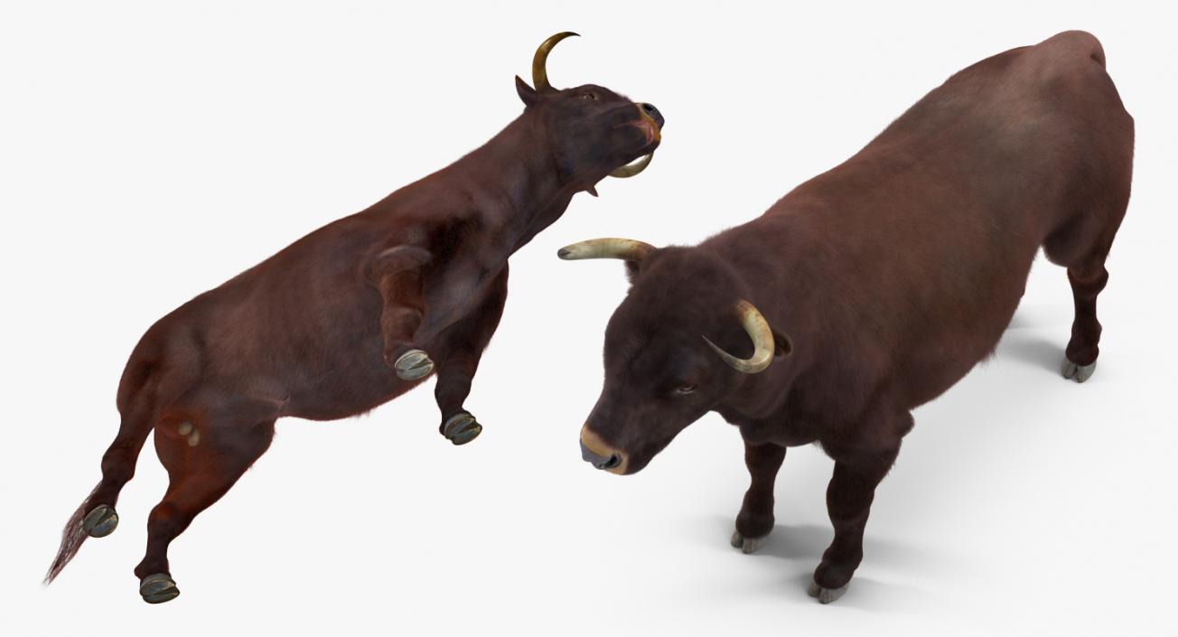 3D model Bull Rigged with Fur