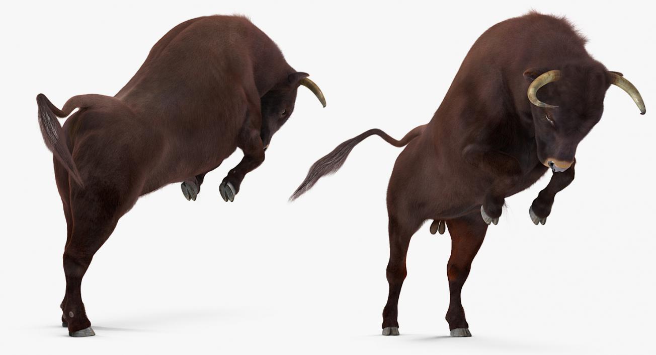 3D model Bull Rigged with Fur