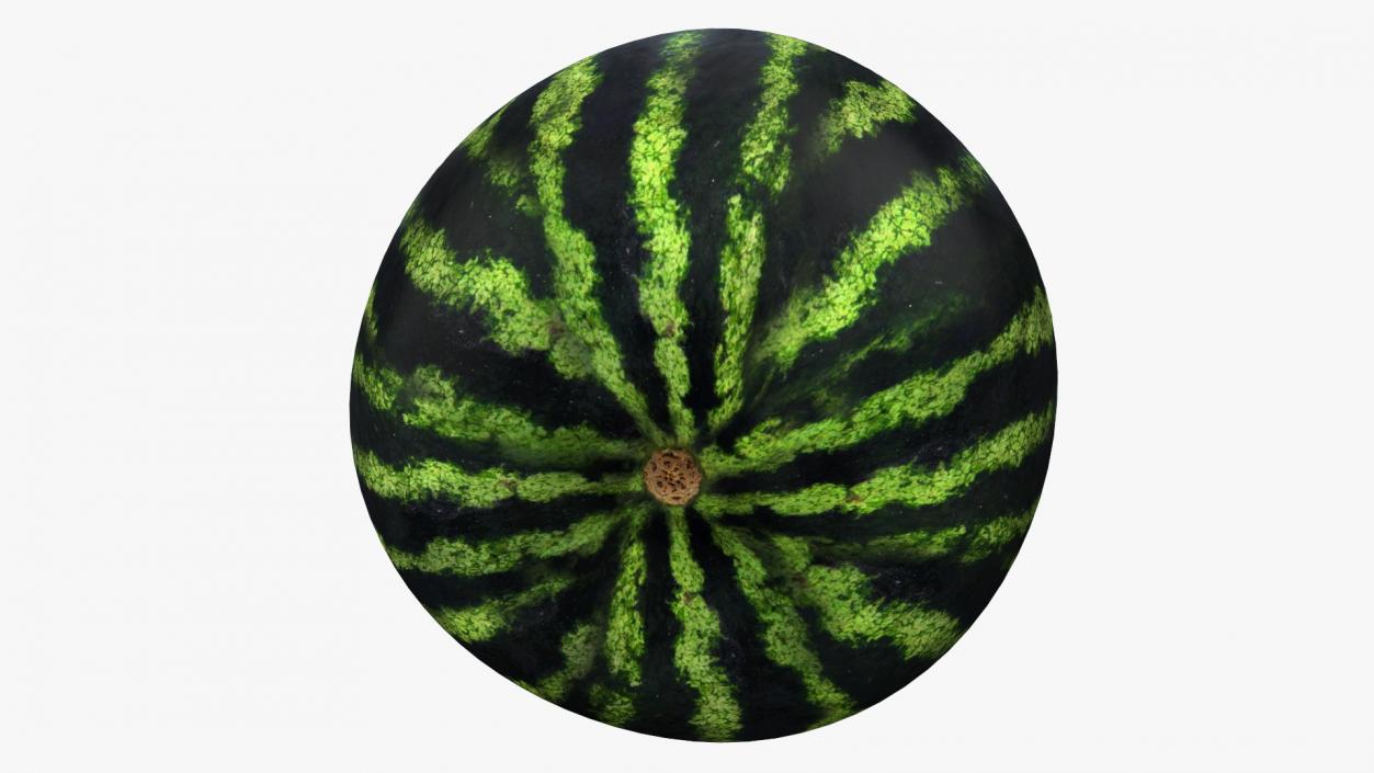 Watermelon Cut In Half 3D