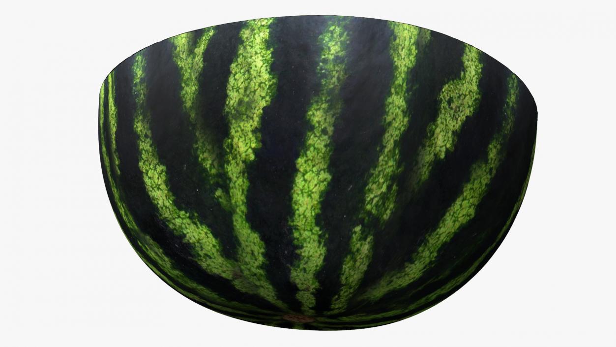 Watermelon Cut In Half 3D