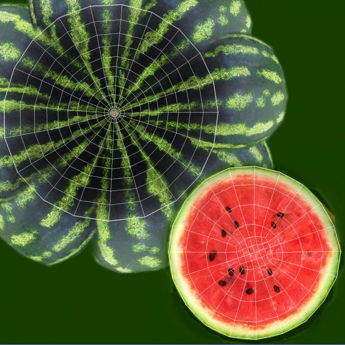 Watermelon Cut In Half 3D