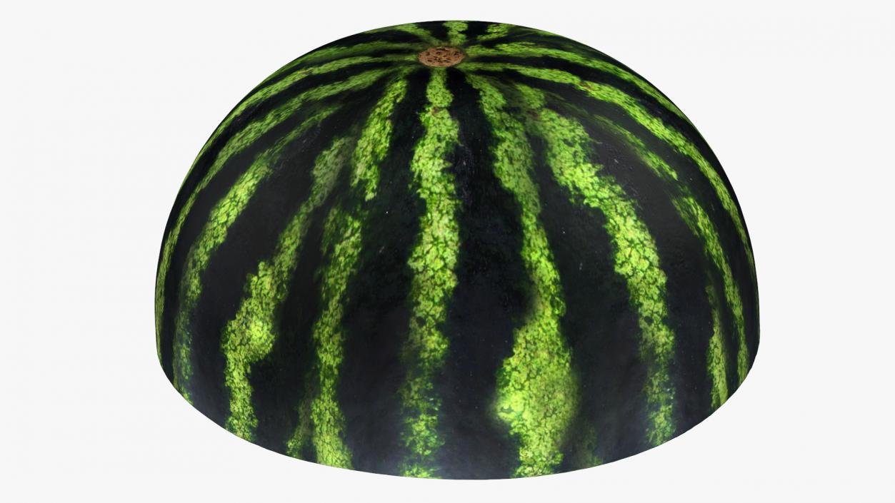 Watermelon Cut In Half 3D