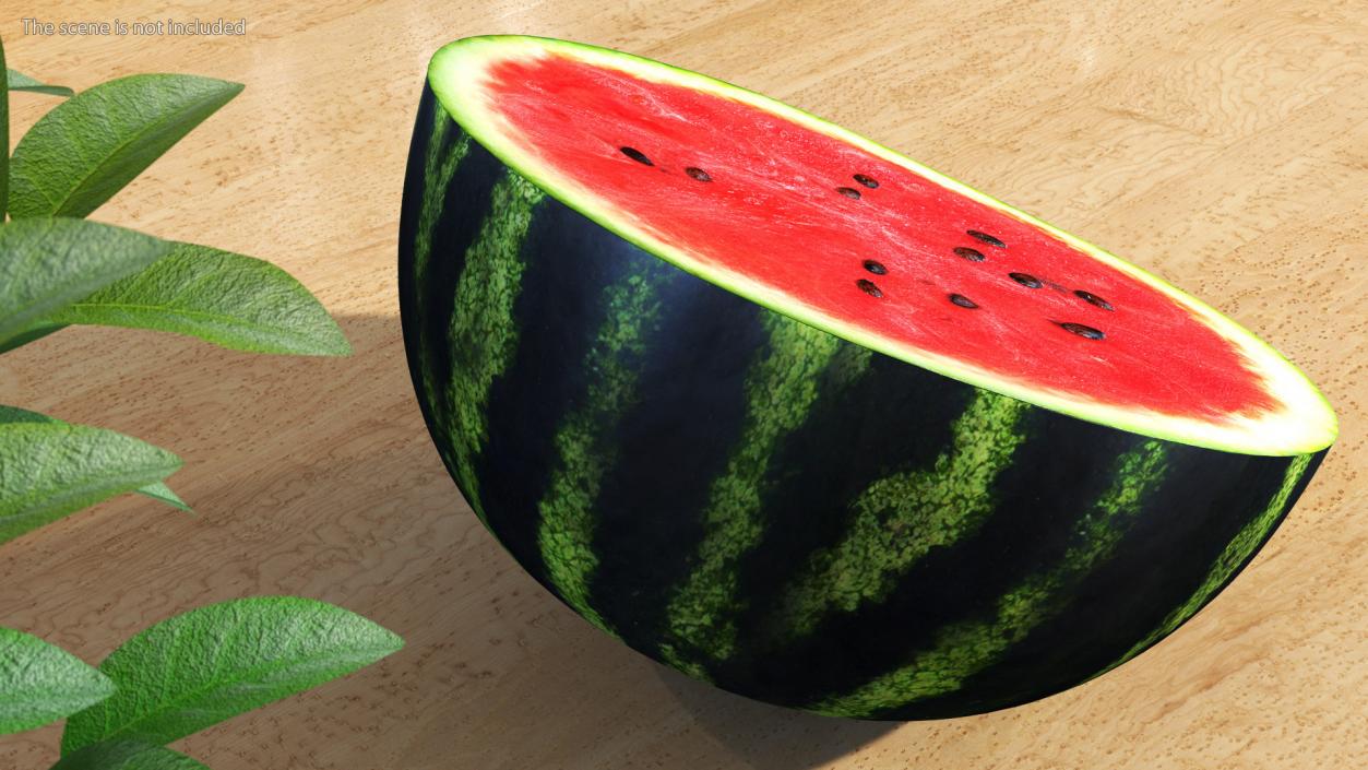 Watermelon Cut In Half 3D