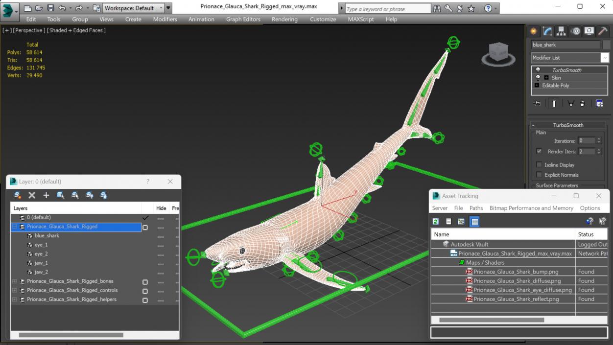 Prionace Glauca Shark Rigged for Maya 3D