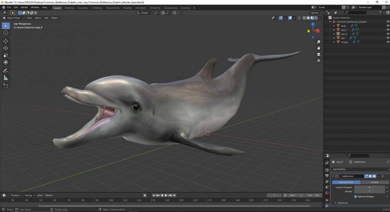 3D model Common Bottlenose Dolphin