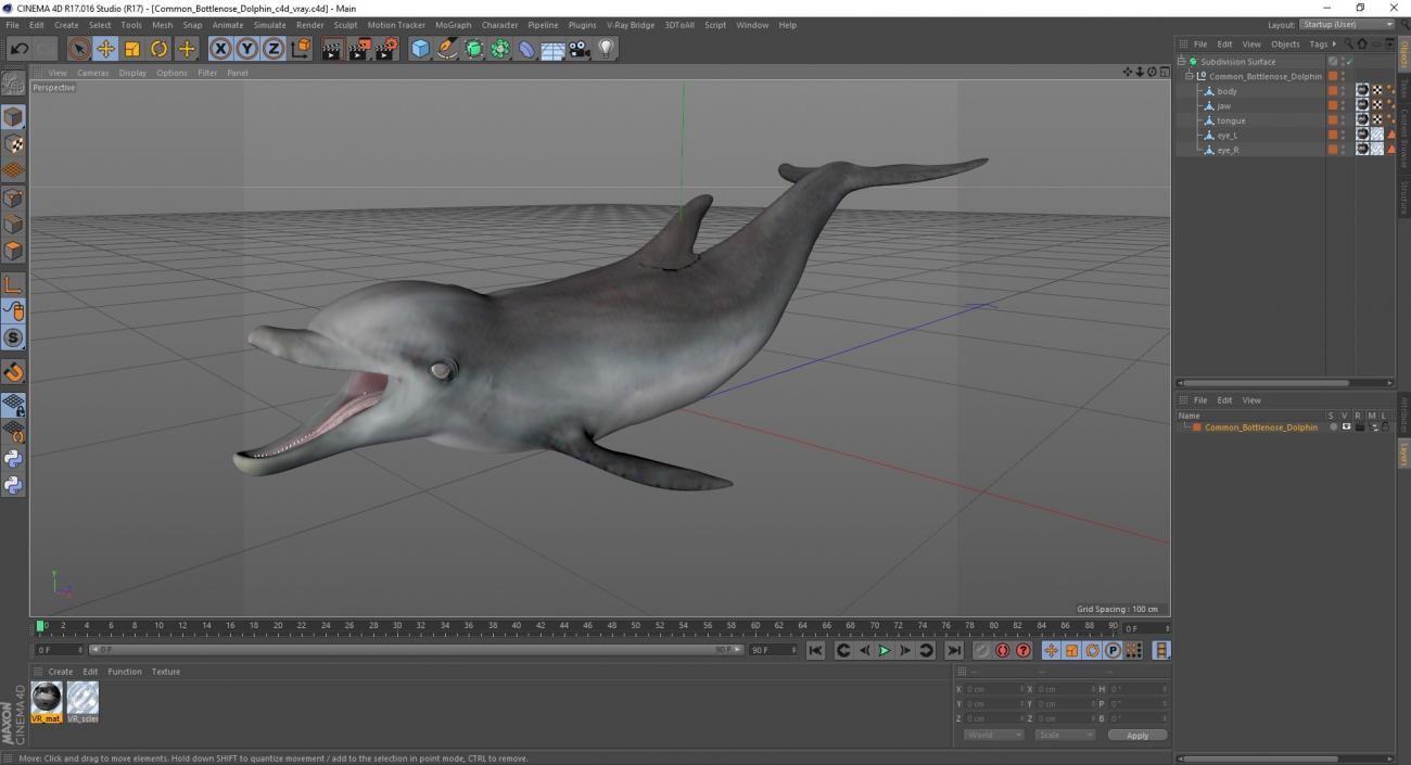 3D model Common Bottlenose Dolphin