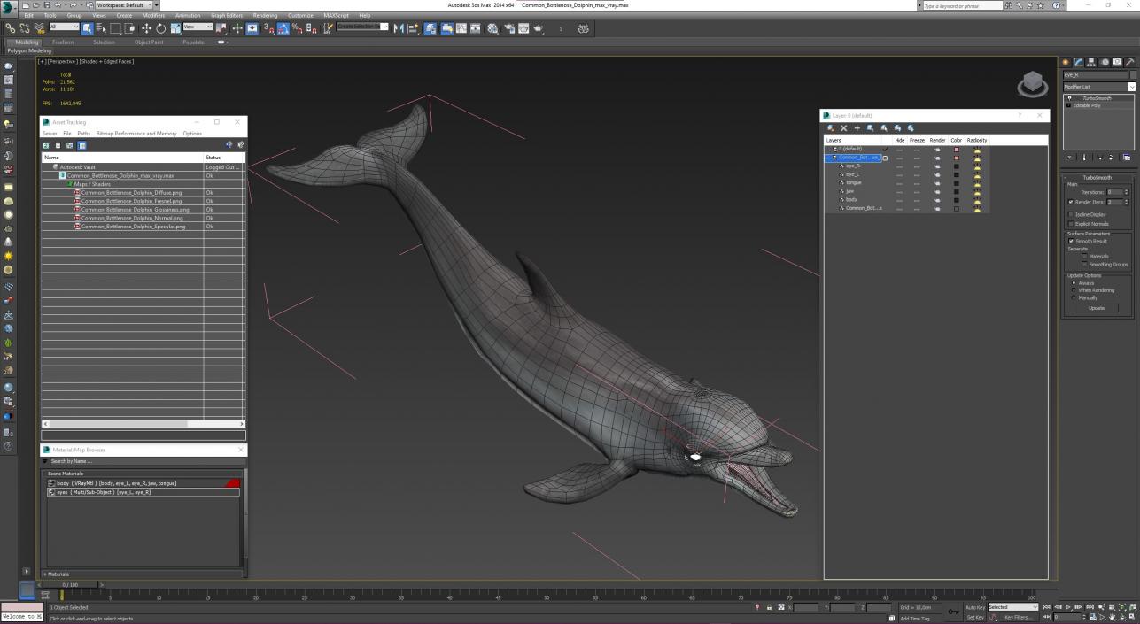 3D model Common Bottlenose Dolphin