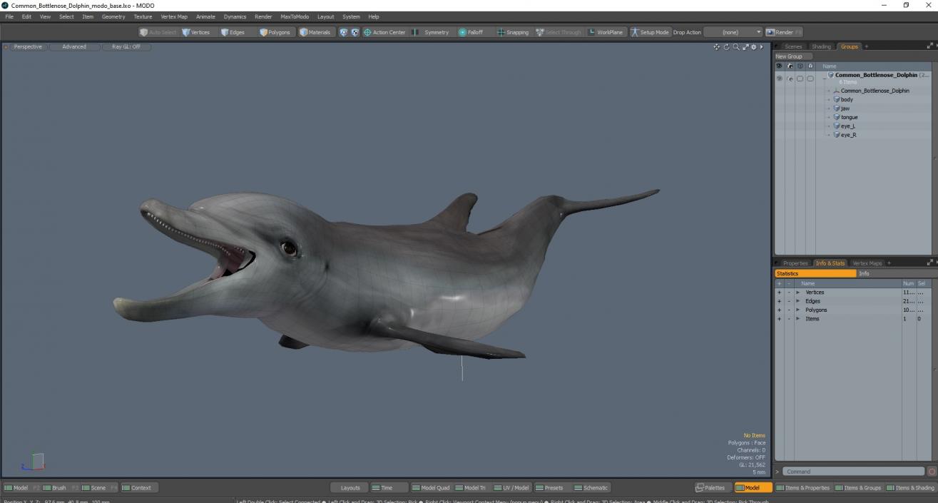 3D model Common Bottlenose Dolphin