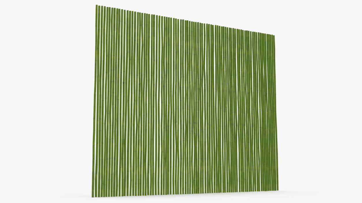 3D Natural Bamboo Fence Green