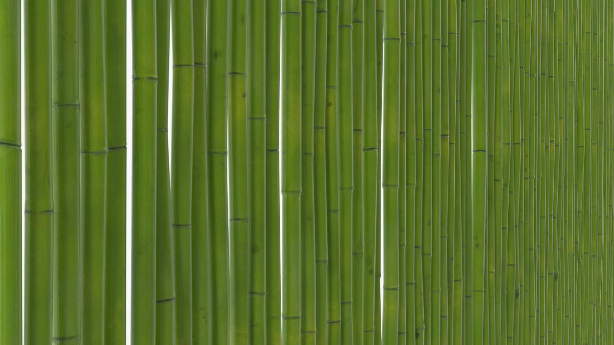 3D Natural Bamboo Fence Green