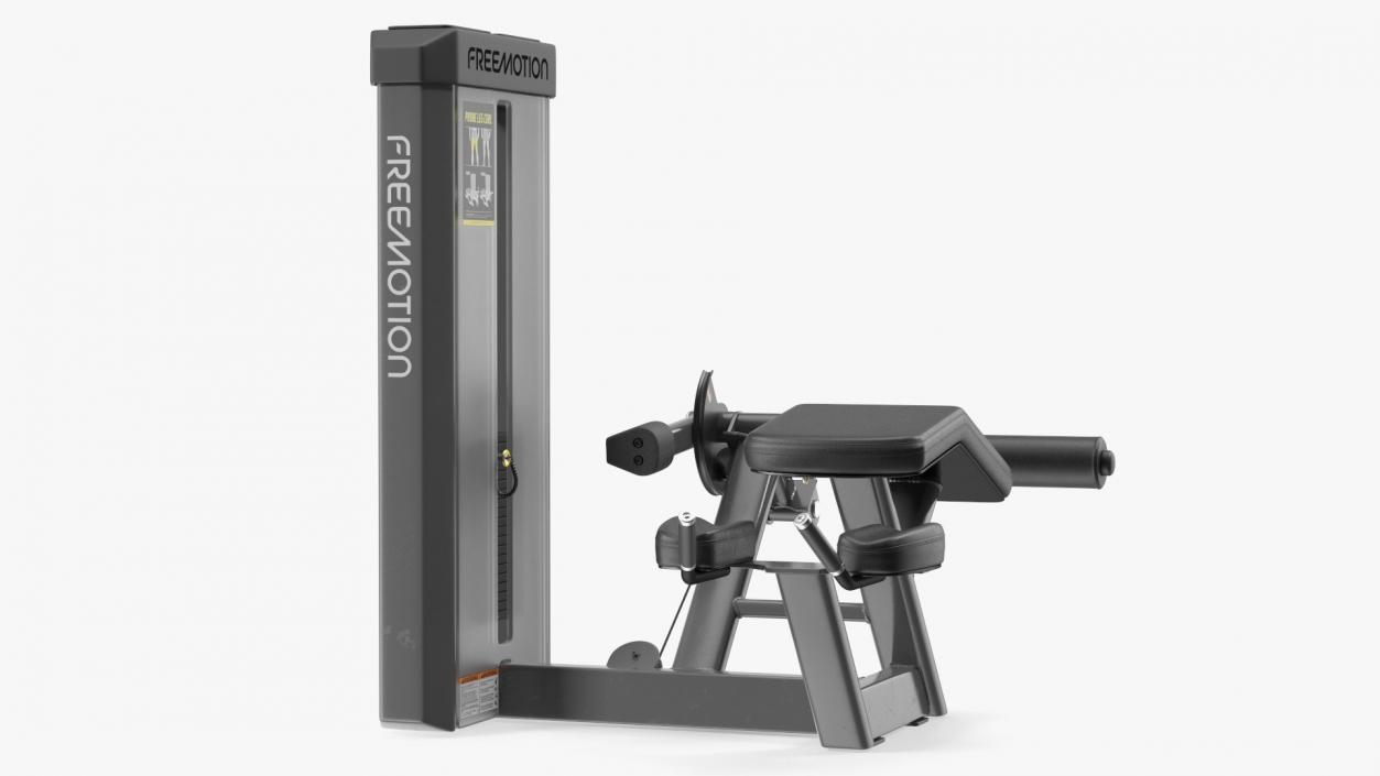 3D Prone Leg Curl Trainer Grey Frame model