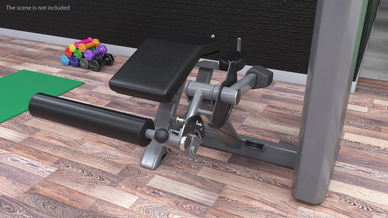 3D Prone Leg Curl Trainer Grey Frame model