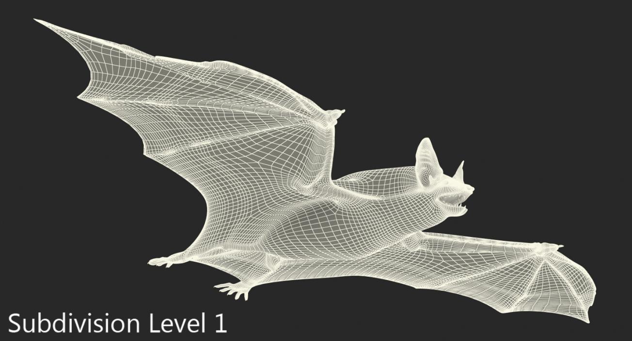 Bat 3D model