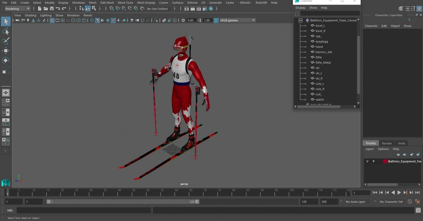 Biathlon Equipment Team Canada Set 3D model