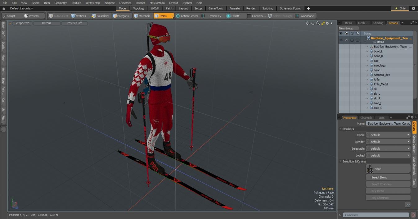 Biathlon Equipment Team Canada Set 3D model