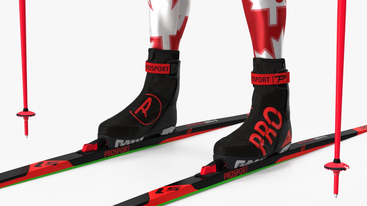 Biathlon Equipment Team Canada Set 3D model