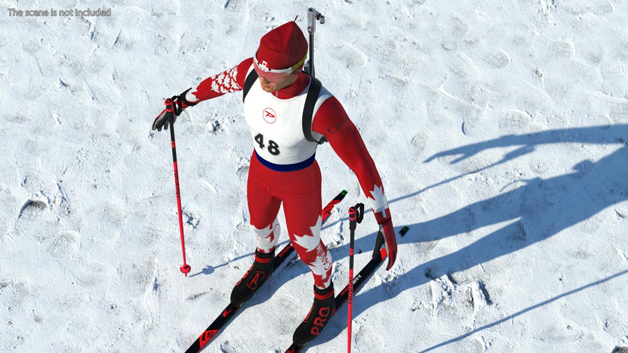 Biathlon Equipment Team Canada Set 3D model