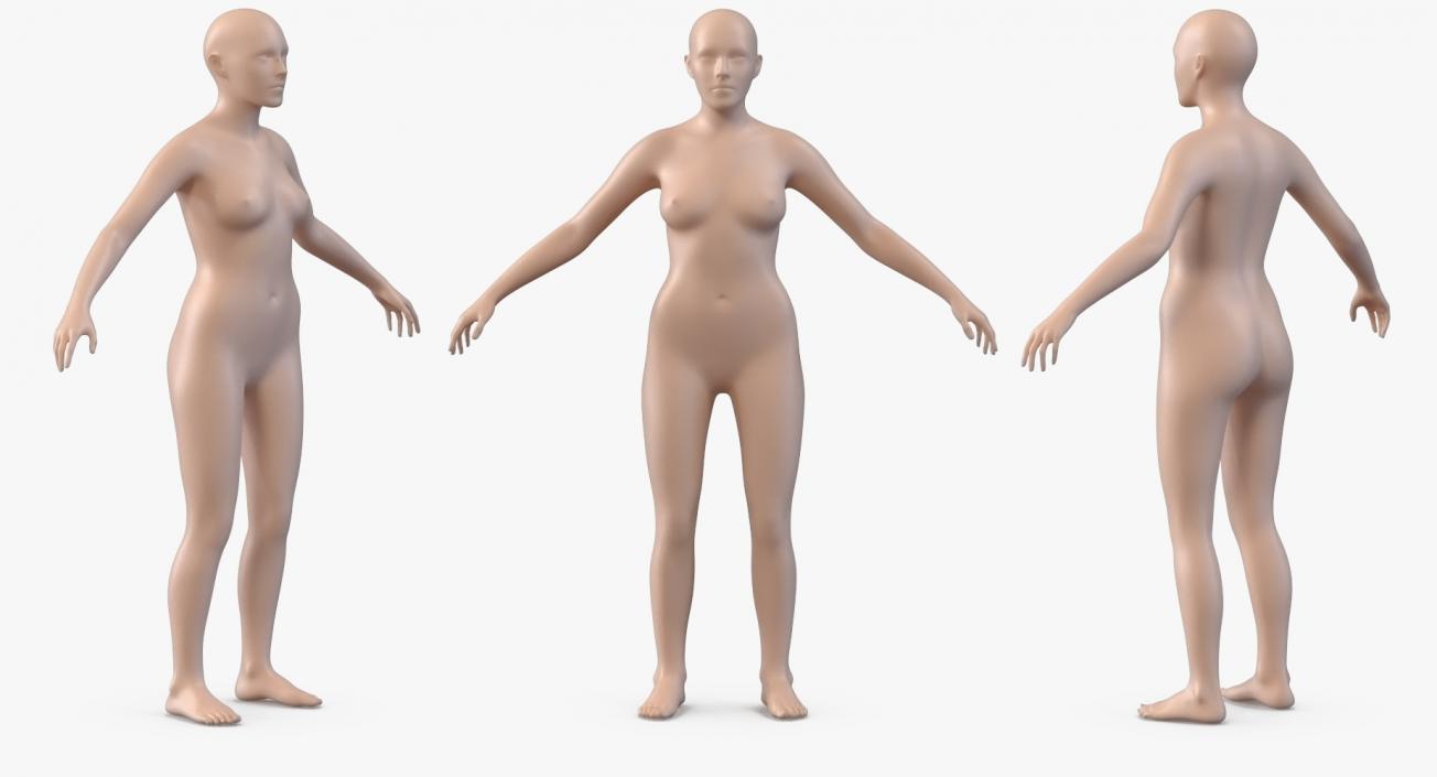 3D model Female Anatomy Collection