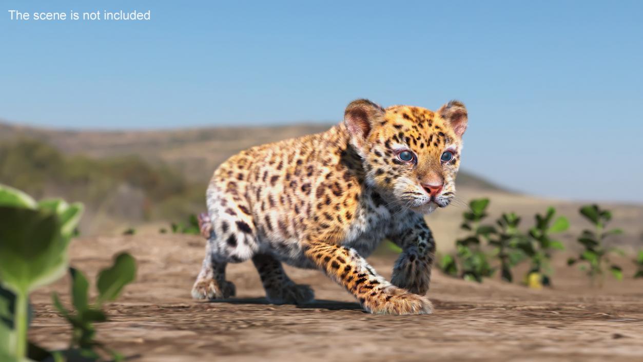 Leopard Cub Sneaking Pose with Fur 3D model