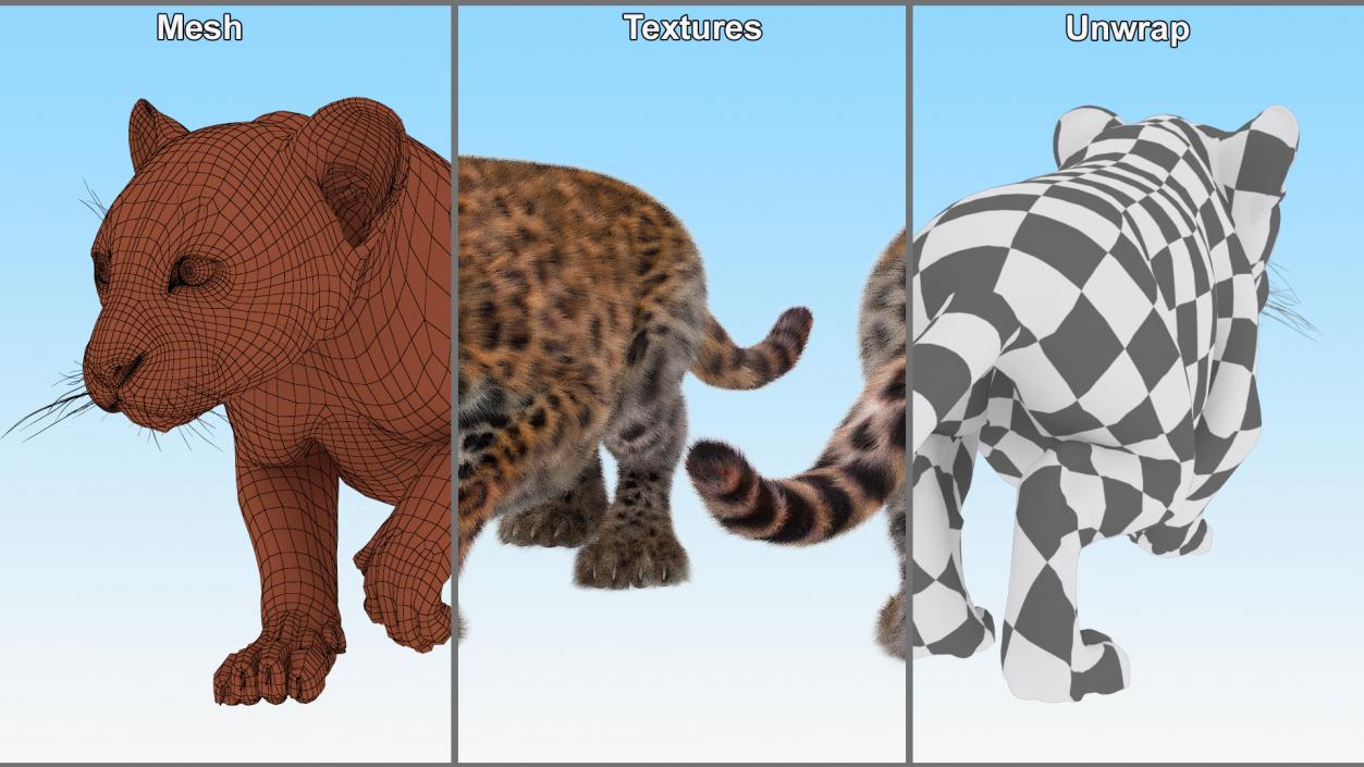 Leopard Cub Sneaking Pose with Fur 3D model