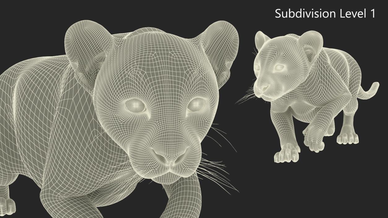 Leopard Cub Sneaking Pose with Fur 3D model