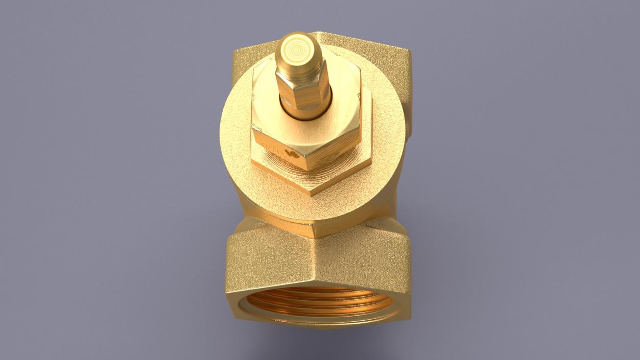 3D Brass Gate Valve