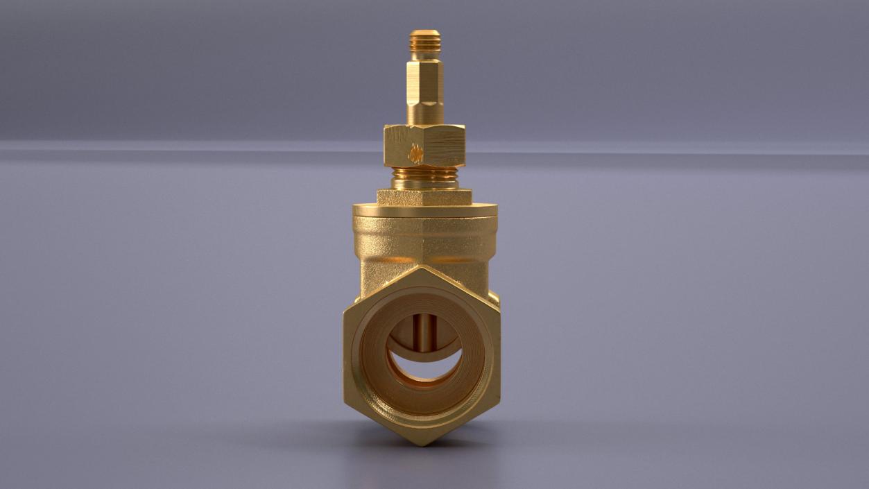 3D Brass Gate Valve