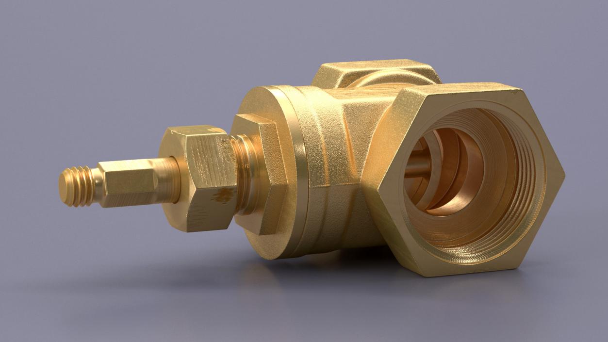 3D Brass Gate Valve