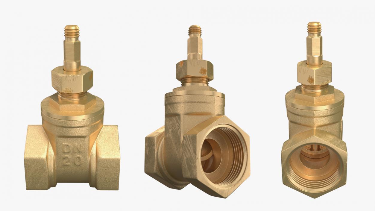 3D Brass Gate Valve