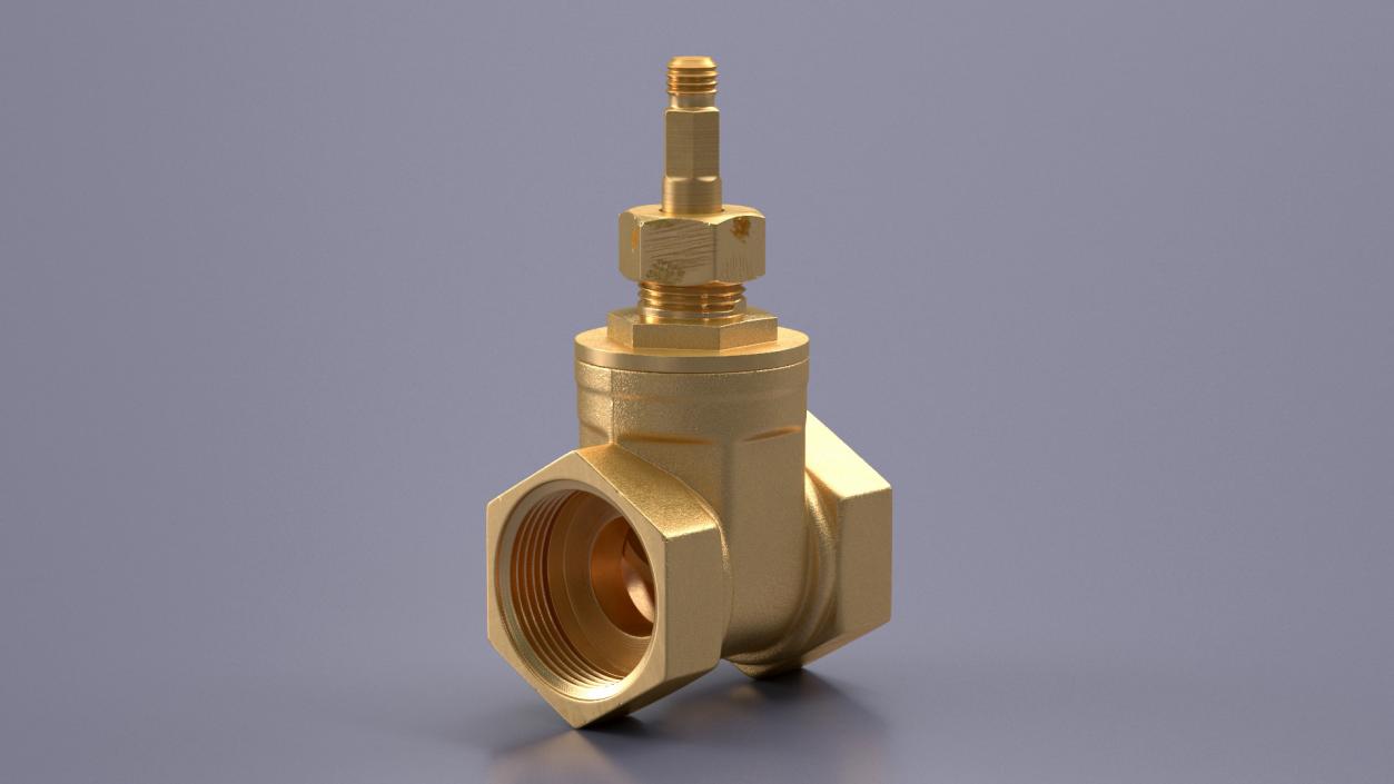 3D Brass Gate Valve