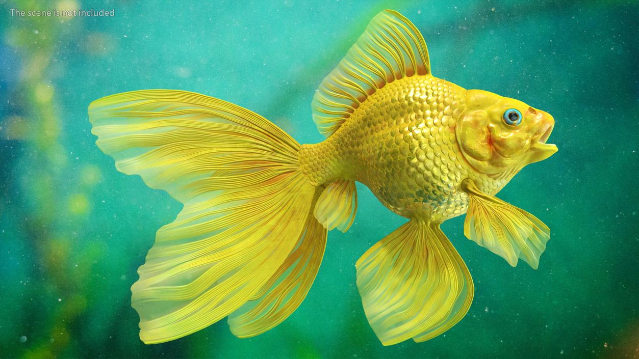 3D model Goldfish Rigged