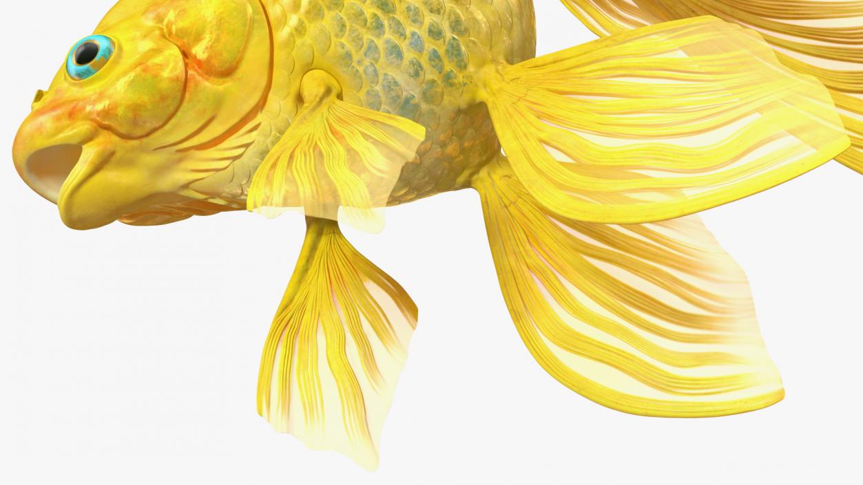 3D model Goldfish Rigged