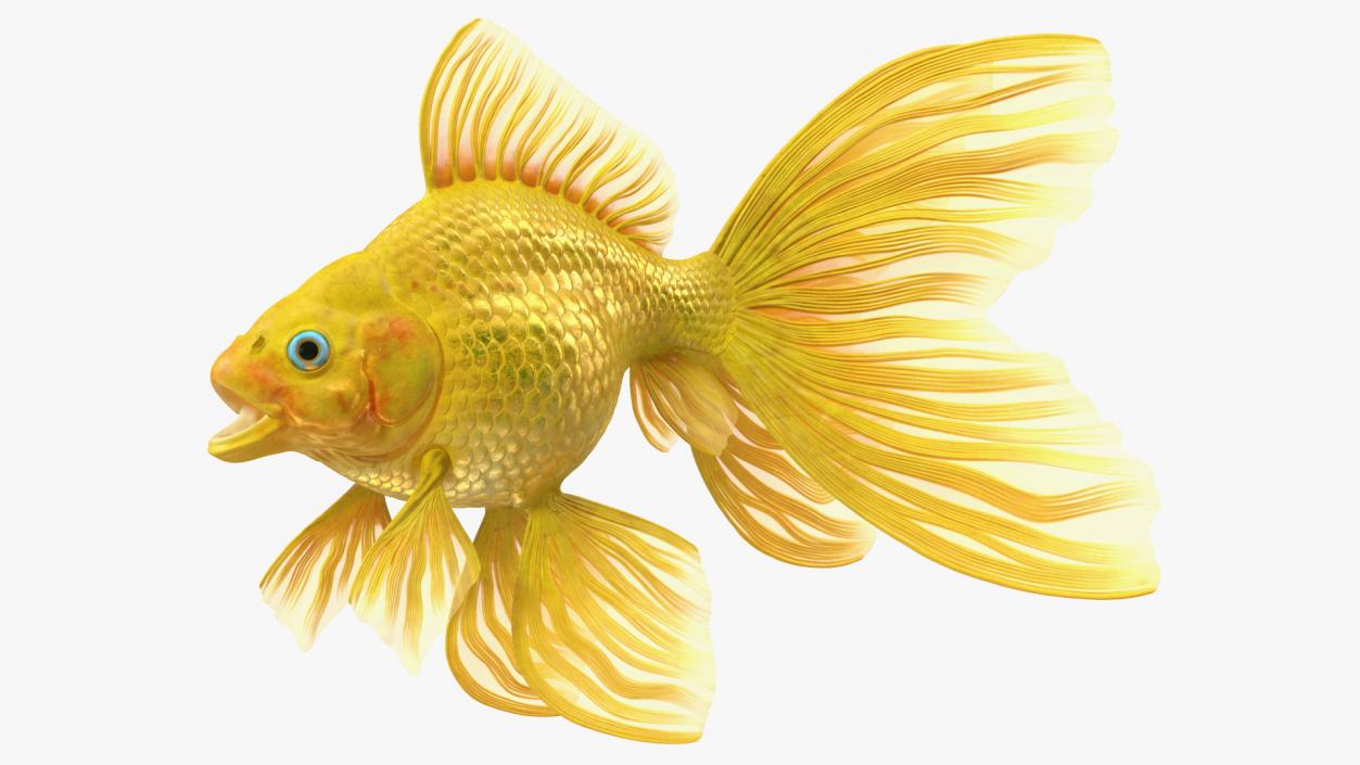 3D model Goldfish Rigged