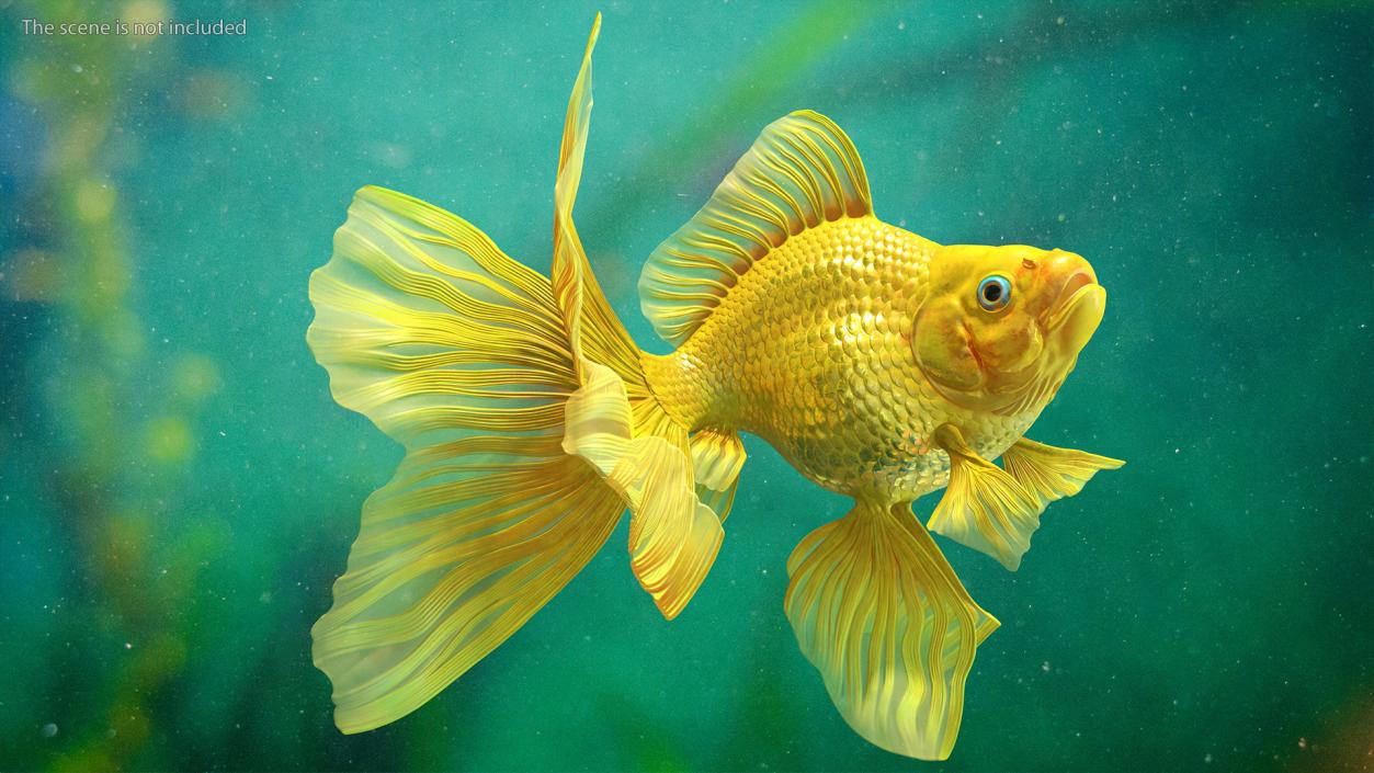 3D model Goldfish Rigged